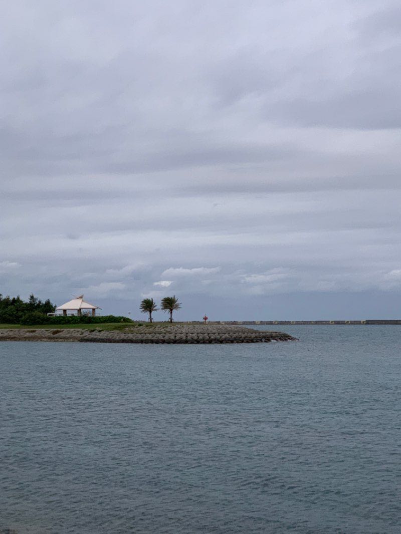 walking near me in Matsuyama Park in winter