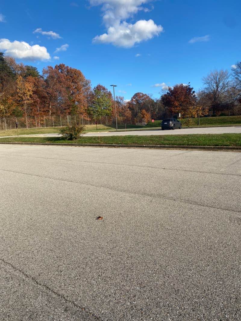 walking near me in Maryland City Park in winter