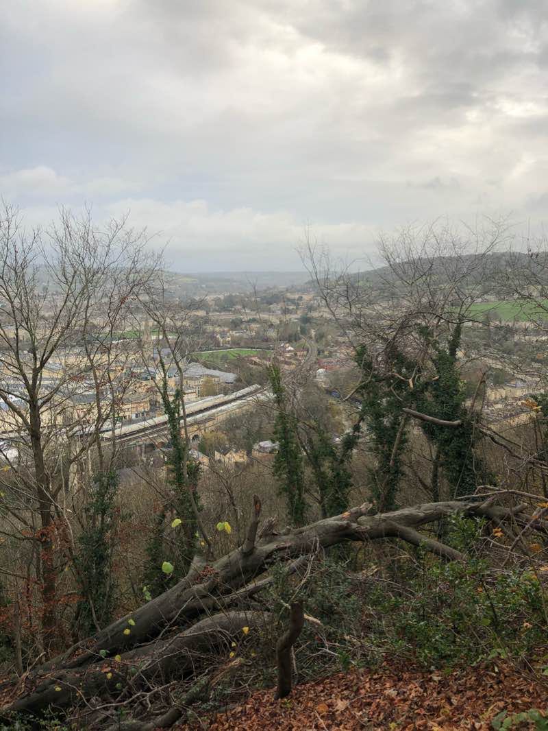 walking near me in Alexandra Park in winter