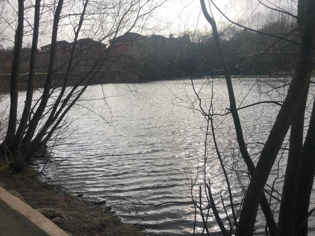 walking near me in Stryt Las Park in winter