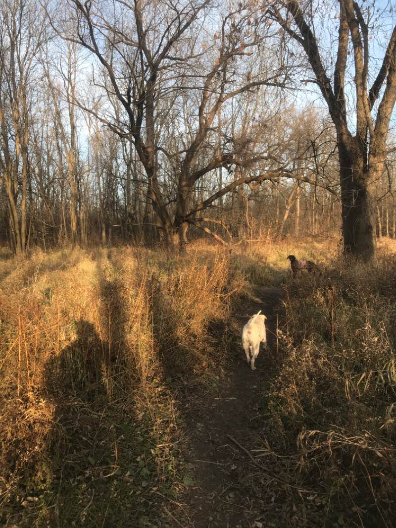 walking near me in Menomonee River Parkway in winter