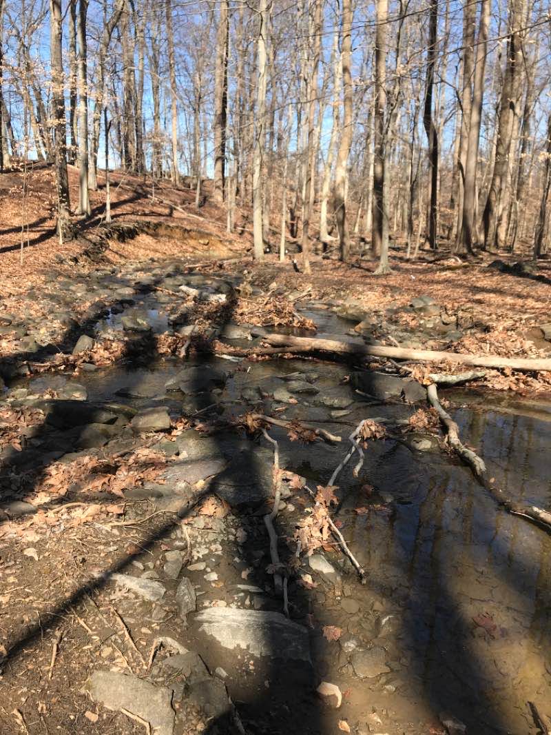 walking near me in Mill Brook DGC in winter