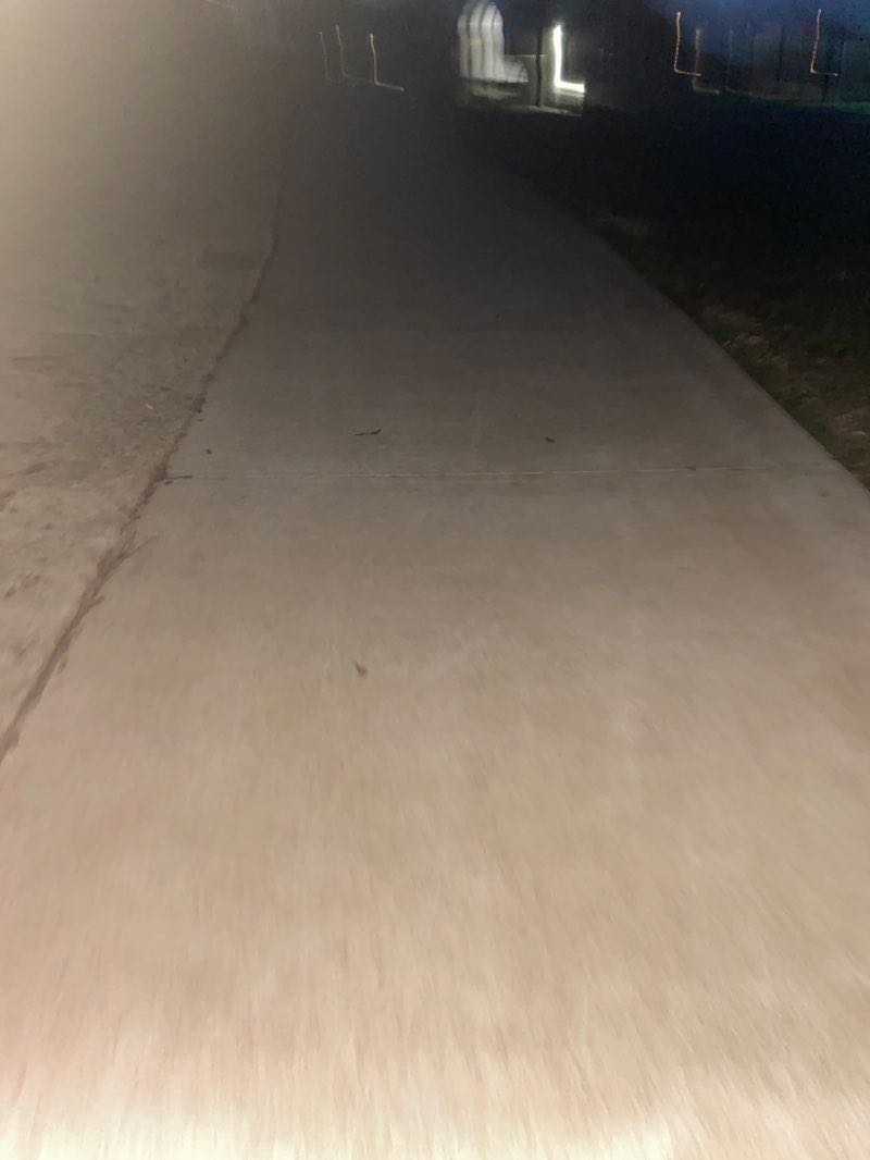 walking near me in Green Valley Park in winter