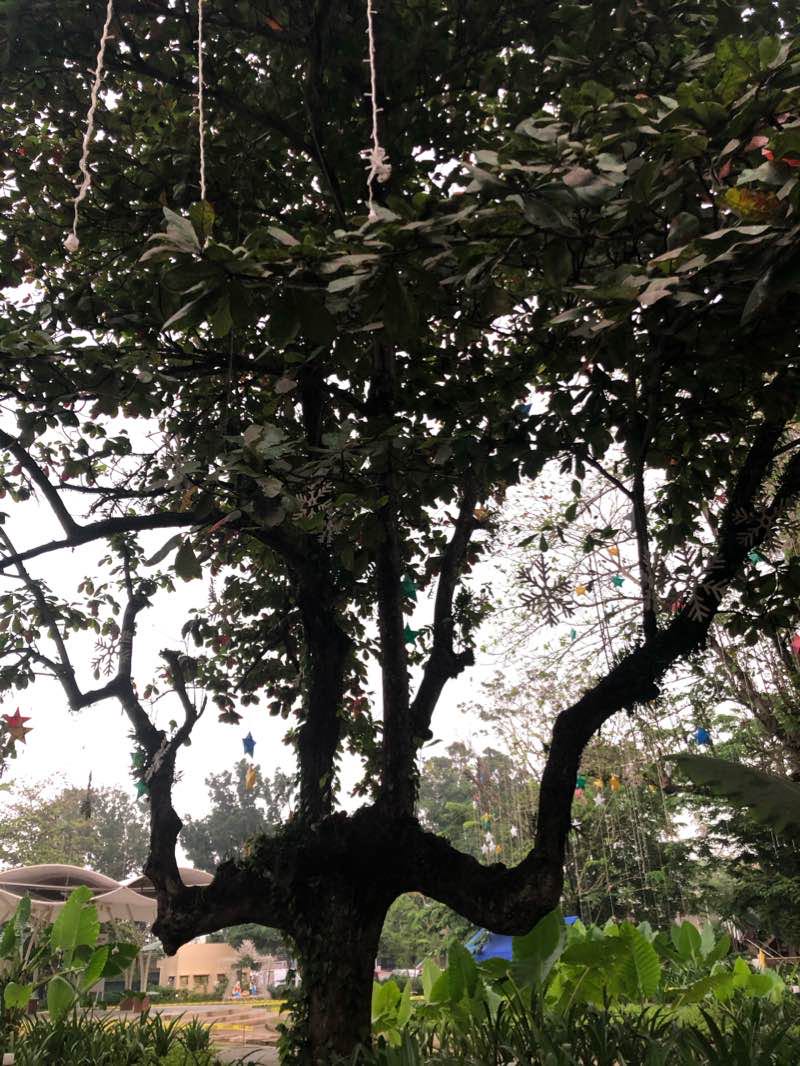 walking near me in Dipolog City Plaza in winter
