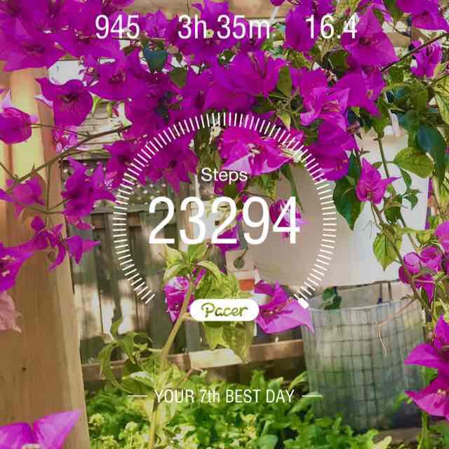 Mikito  💃🌅🕺 post 1