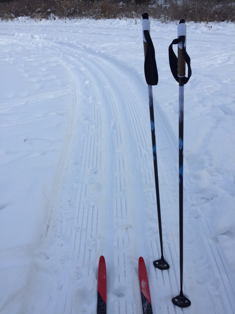 walking near me in Barrett Park in winter