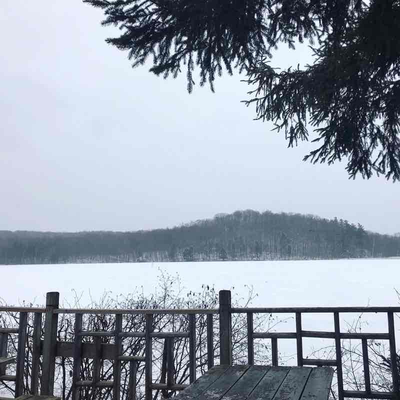 Yanni Malagardis post 2