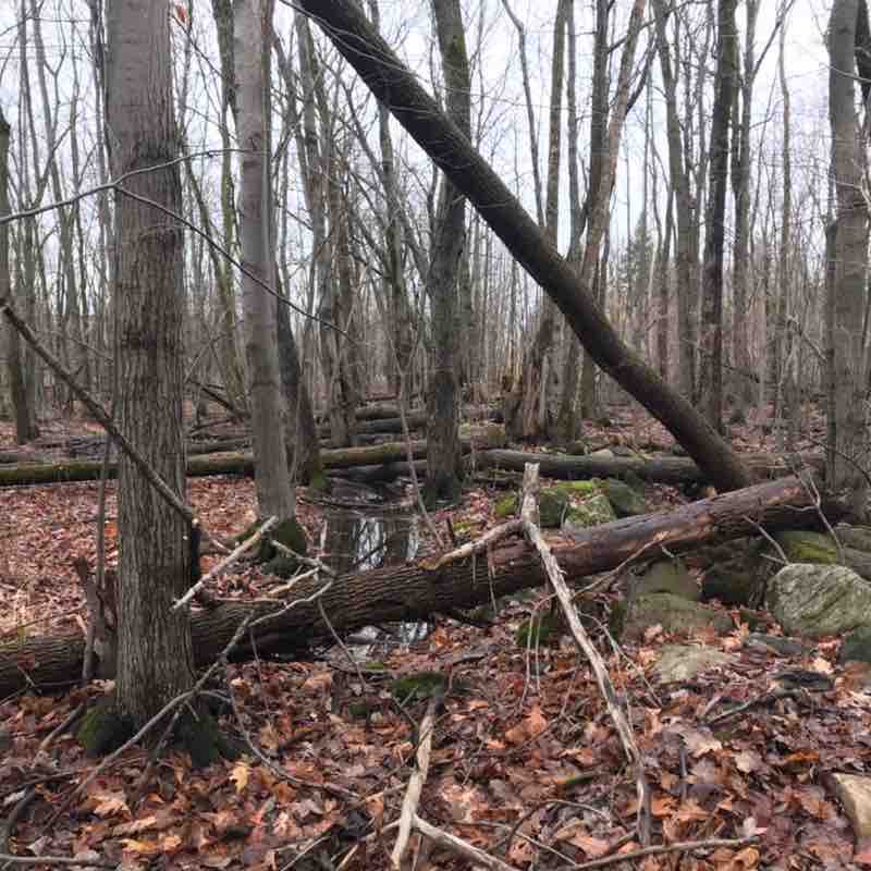 Yanni Malagardis post 3