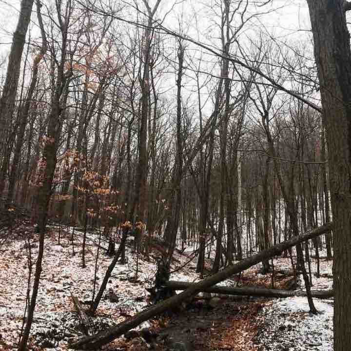 Yanni Malagardis post 1