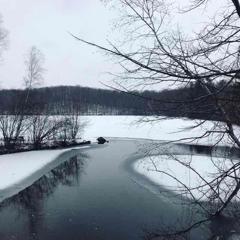 Yanni Malagardis post 1