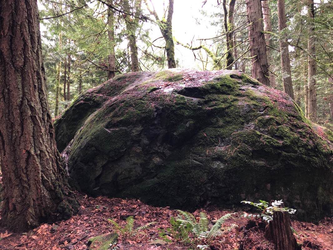 walking near me in Anderson Lake State Park in winter