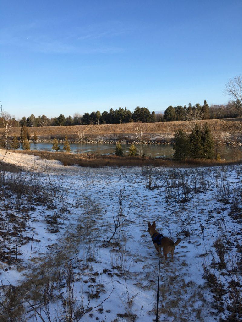 walking near me in Sturgeon Bay Ship Canal in winter