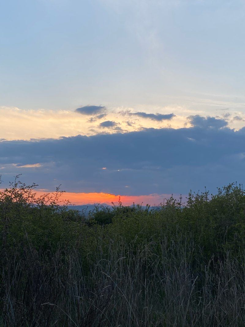 walking near me in Parco della Pace in winter