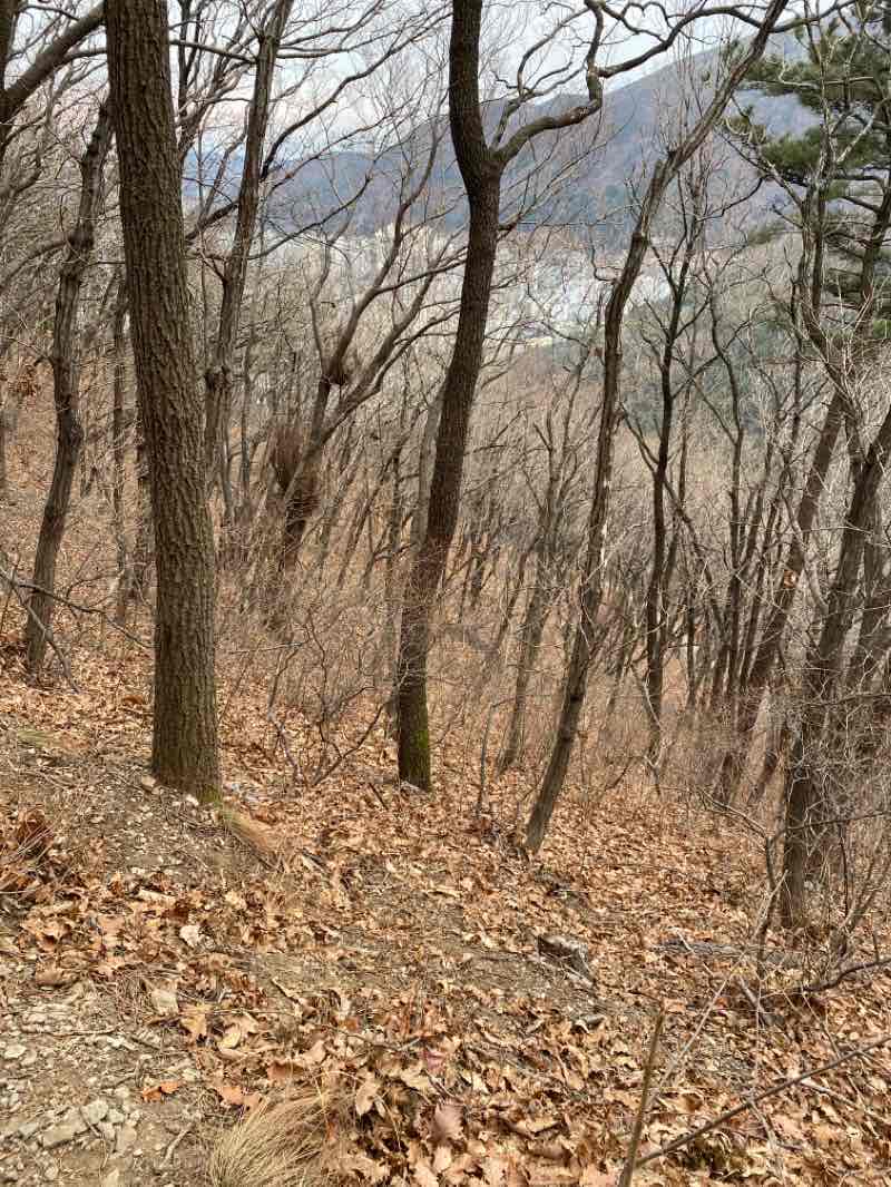 walking near me in 대청공원 in winter