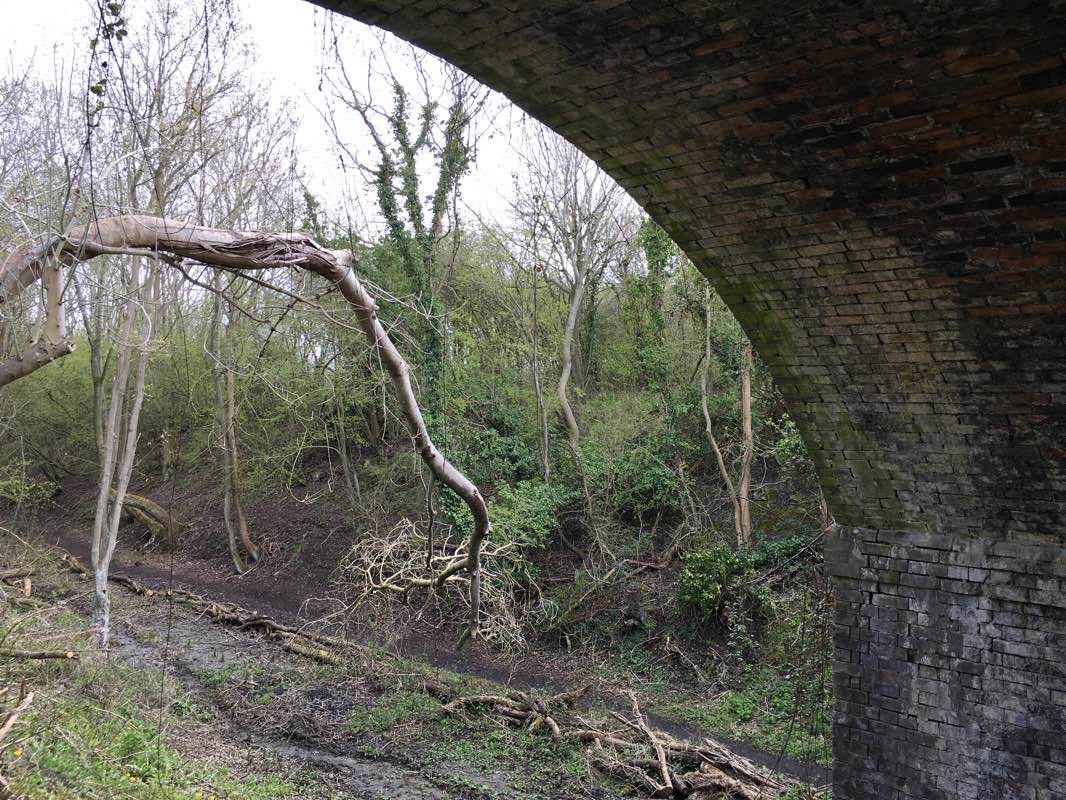 walking near me in Kings Cliffe Village Field in winter