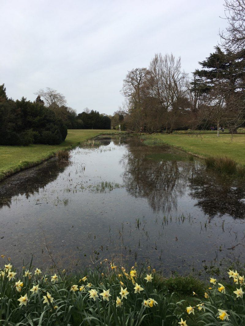walking near me in Belton Park in winter