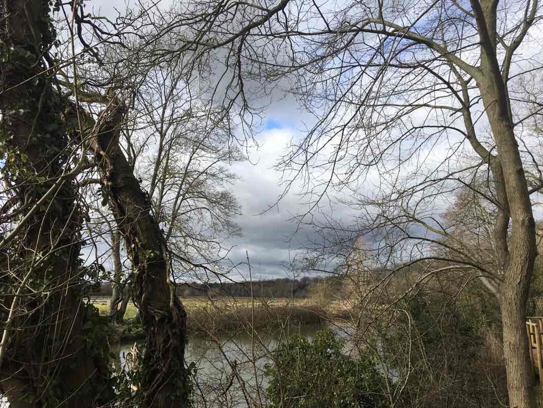 walking near me in Ferry Meadows in winter