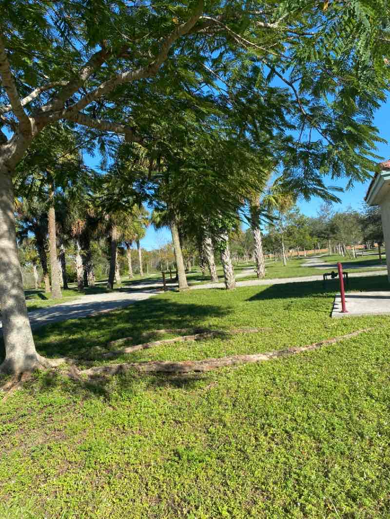 walking near me in Whispering Woods Park in winter