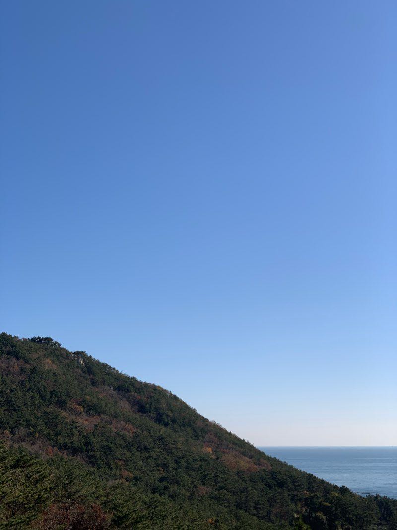 walking near me in 해운대 달맞이공원 in winter