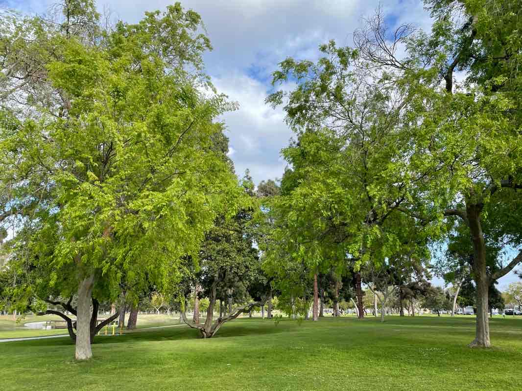 walking near me in Heartwell Park in winter