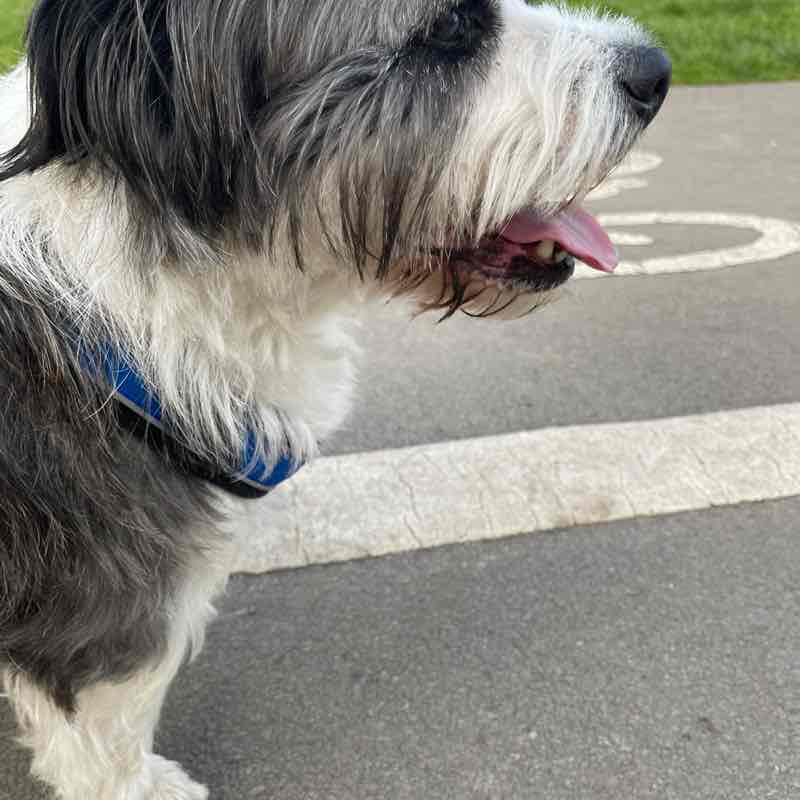 🐾 Catherine & Denny 🐾 post 1