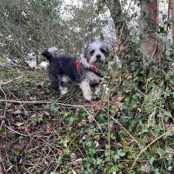 🐾 Catherine & Denny 🐾 post 1