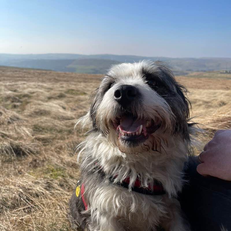 🐾 Catherine & Denny 🐾 post 1