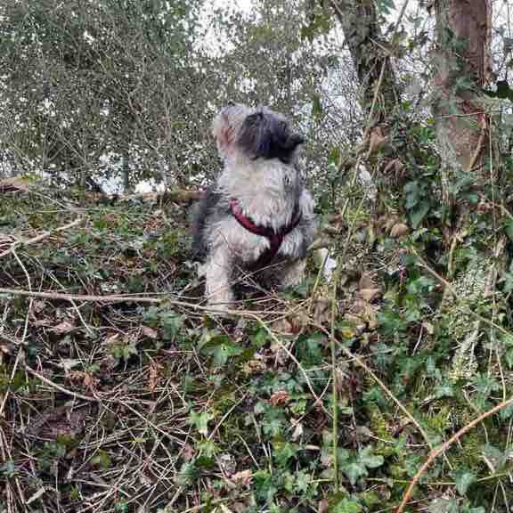 🐾 Catherine & Denny 🐾 post 2