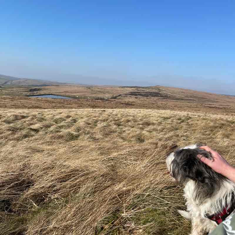 🐾 Catherine & Denny 🐾 post 3