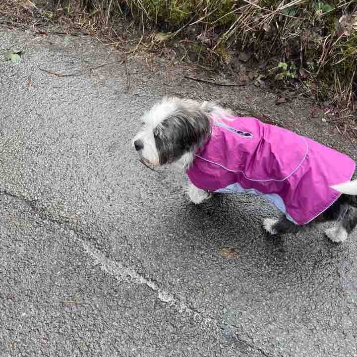 🐾 Catherine & Denny 🐾 post 1