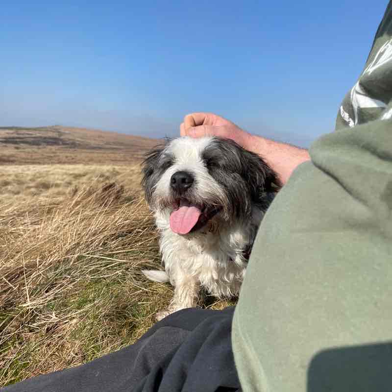 🐾 Catherine & Denny 🐾 post 2