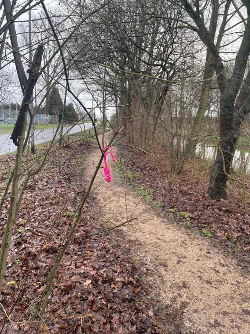 walking near me in Nieuwe Driemanspolder in winter