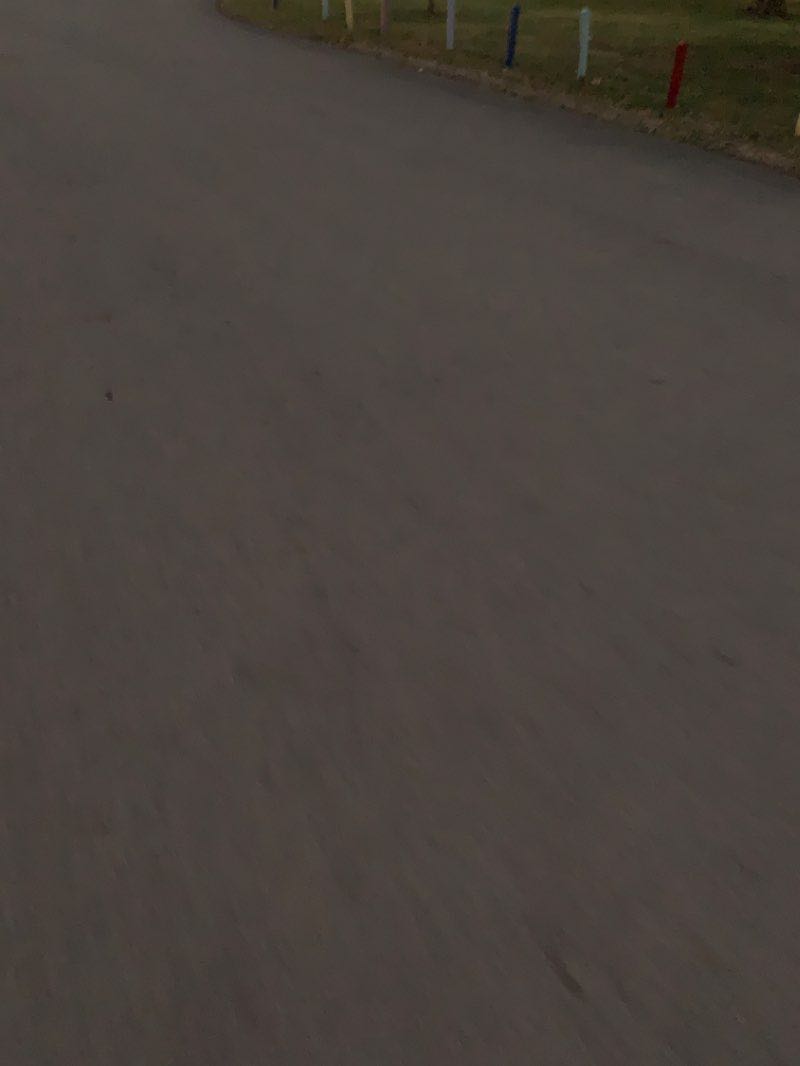 walking near me in McCulloch Park in winter