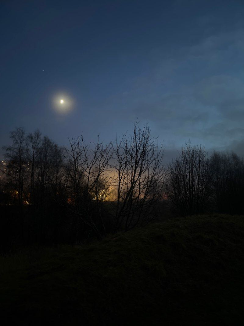 walking near me in Storetveitmarken in winter