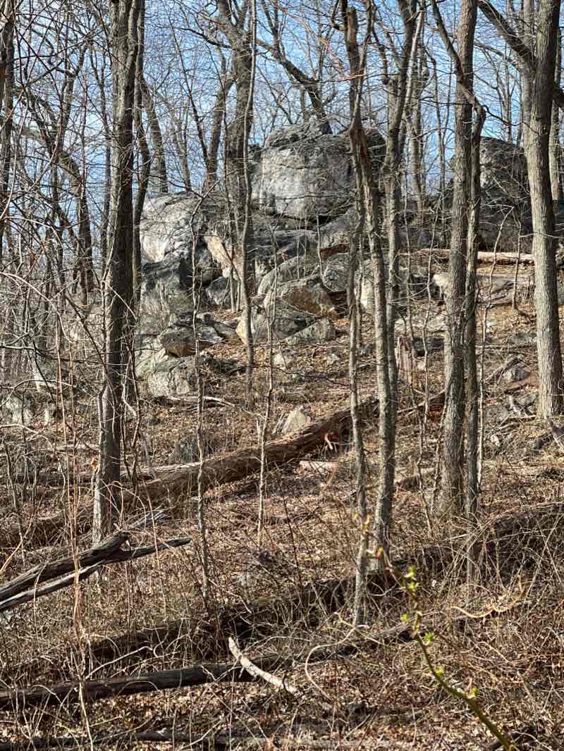 walking near me in Rachel Carson Conservation Park in winter