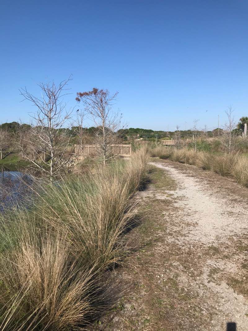 walking near me in The Savannahs Recreation Area in winter