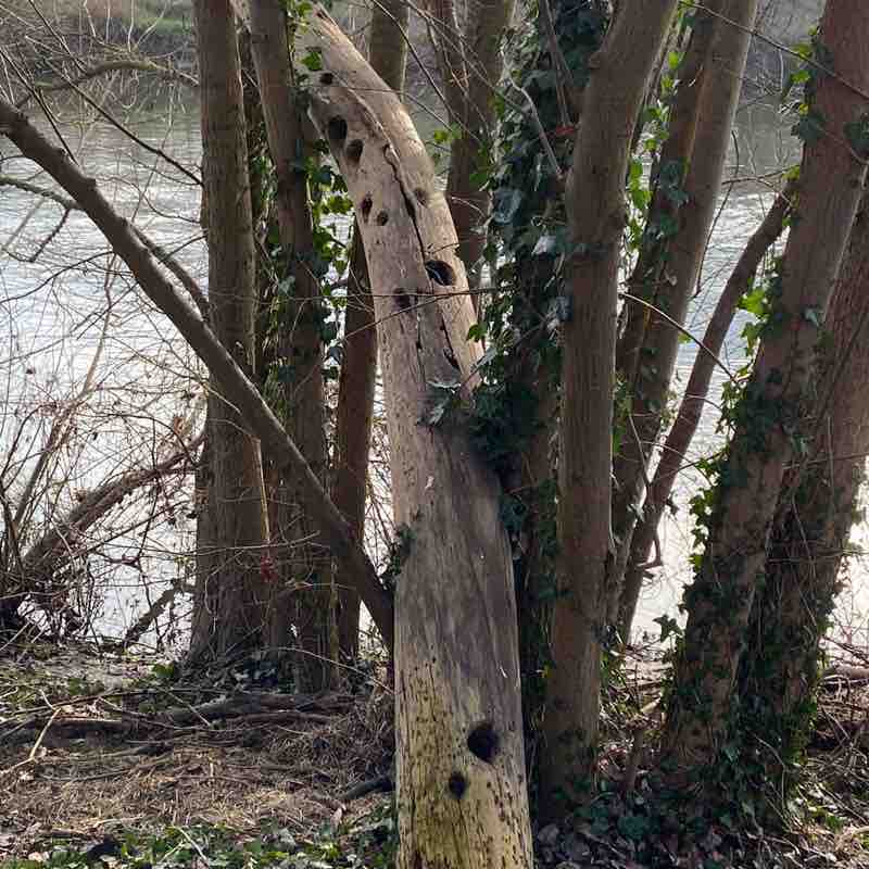 Ivanna🇺🇦🇬🇧 post 2