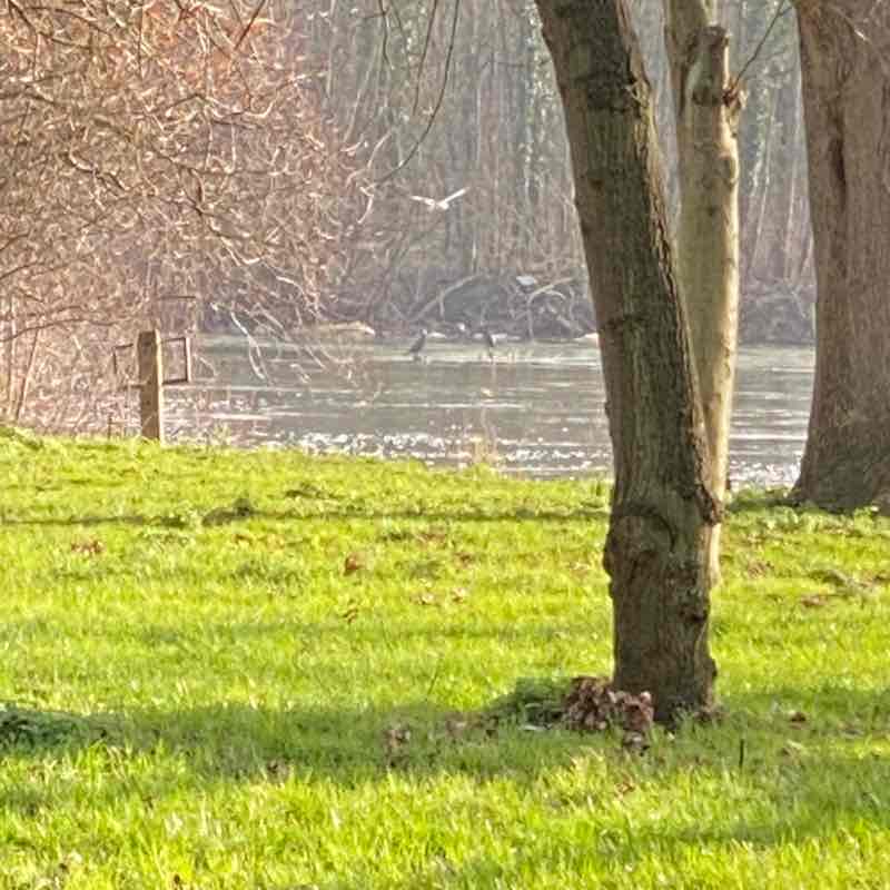 Ivanna🇺🇦🇬🇧 post 1