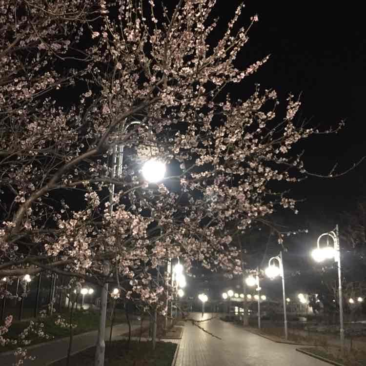 Николай post 3