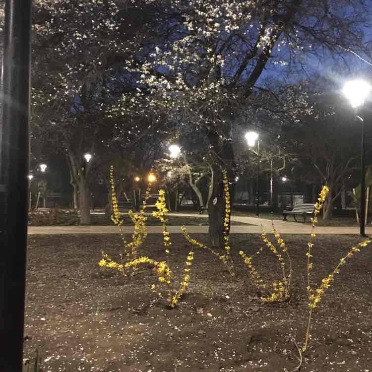 Николай post 2