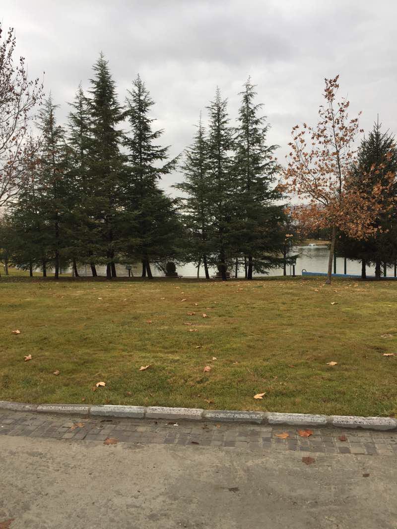 walking near me in Harikalar Diyarı in winter