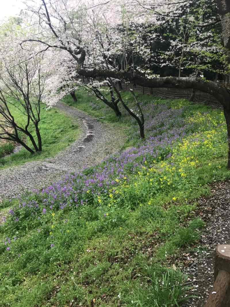 walking near me in 夏見緑地 in winter