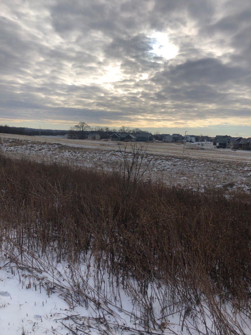 walking near me in Essex Park in winter