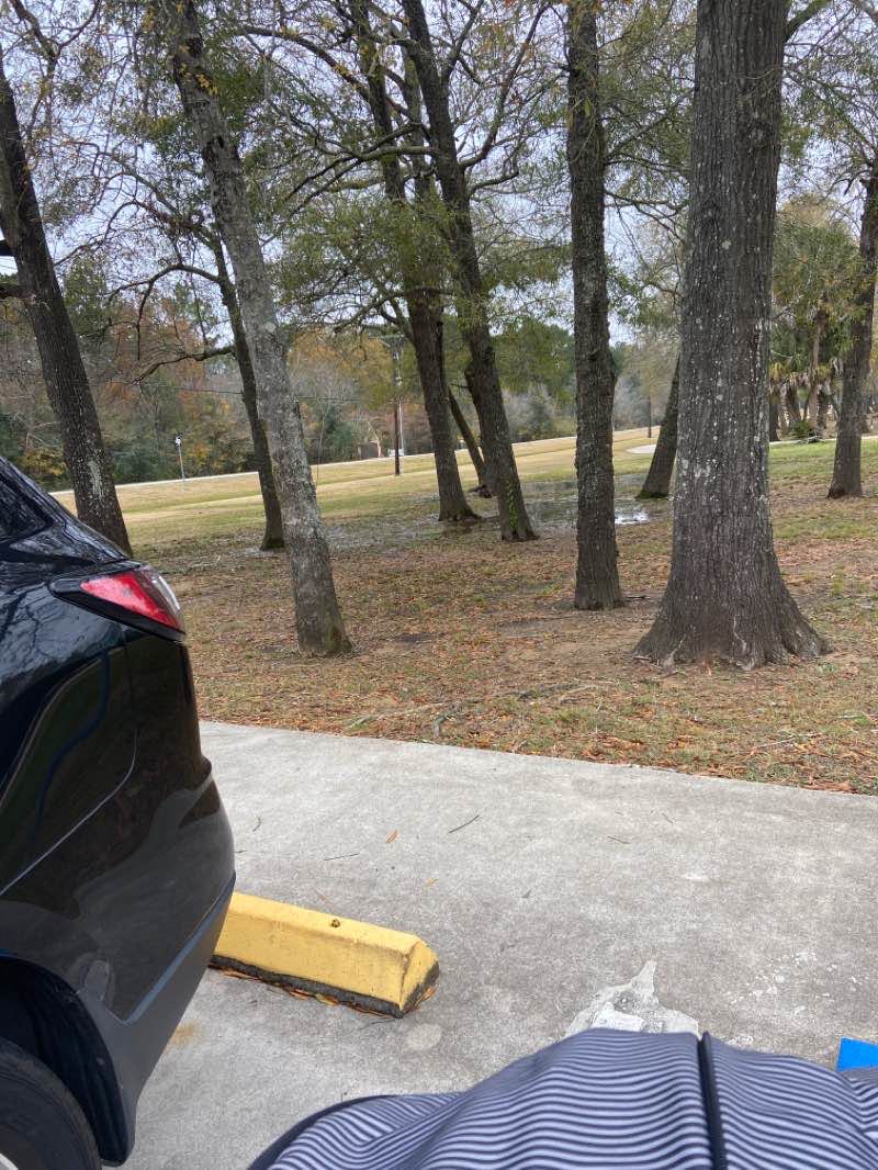 walking near me in Klein Park in winter