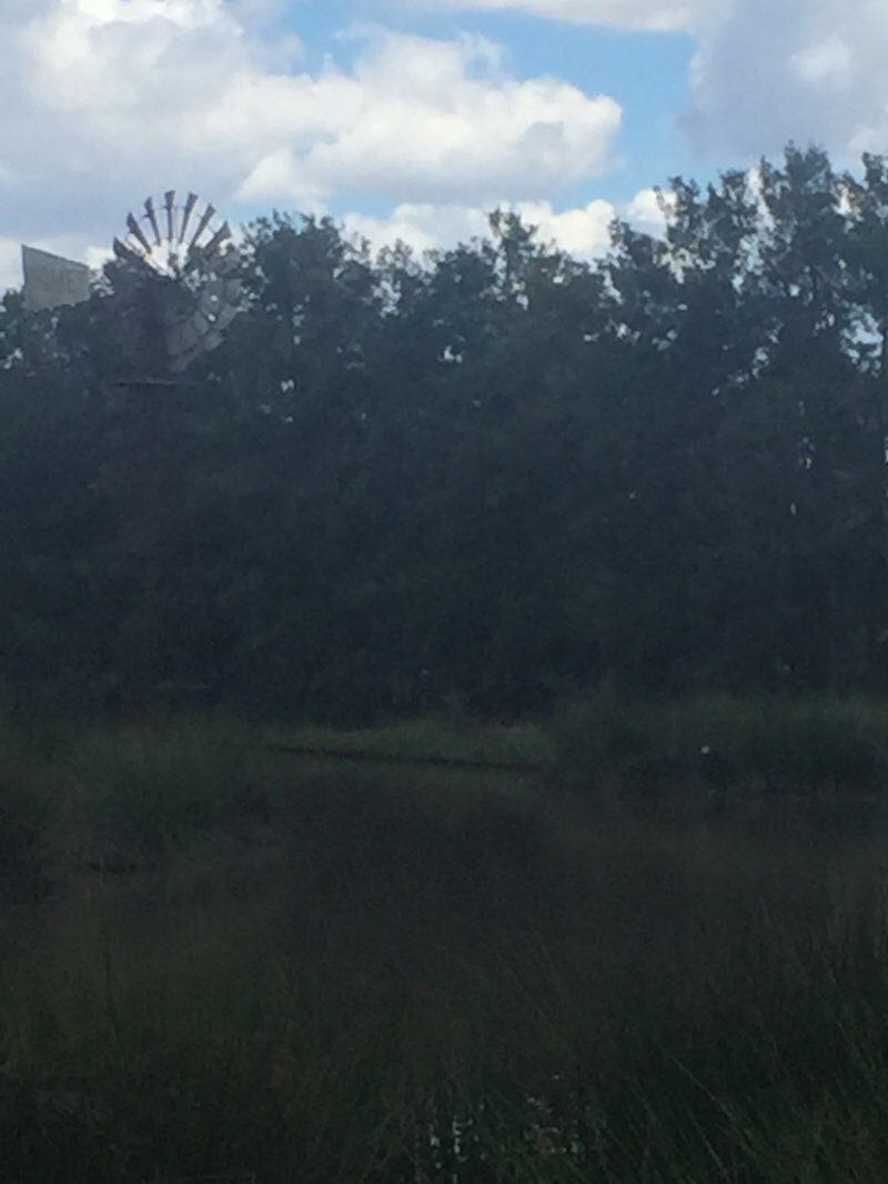 walking near me in Egret Park in summer