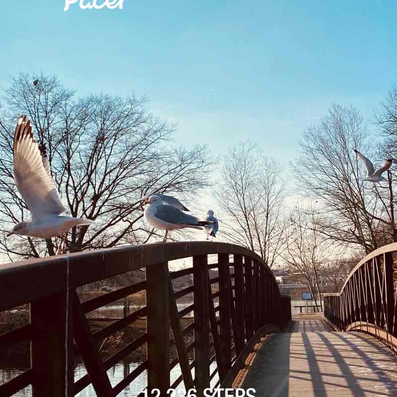 burnt_broccoli post 1