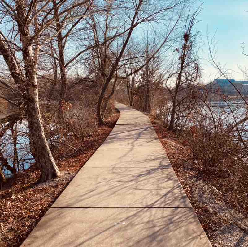 burnt_broccoli post 2