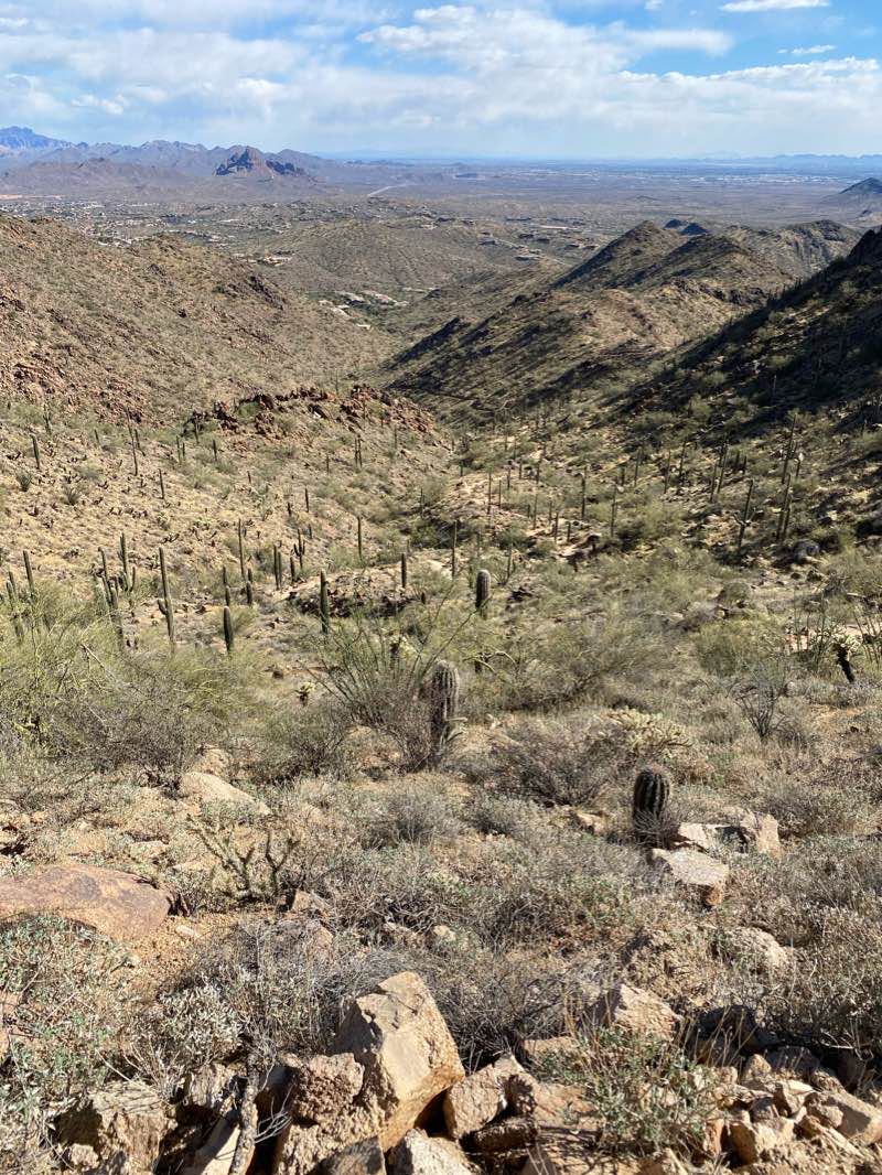 walking near me in Sunrise Trailhead in winter
