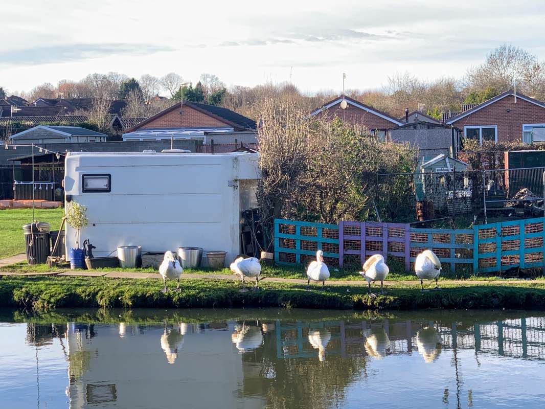 walking near me in Straw's Bridge in winter