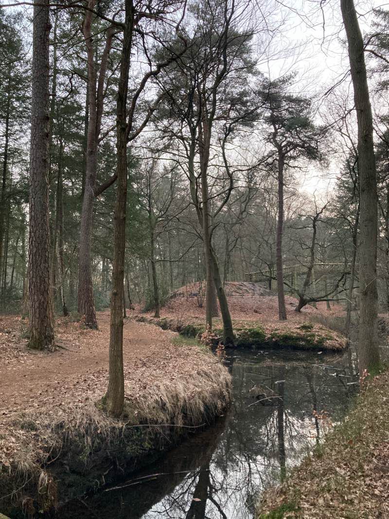 walking near me in Heidetuin Driebergen in winter